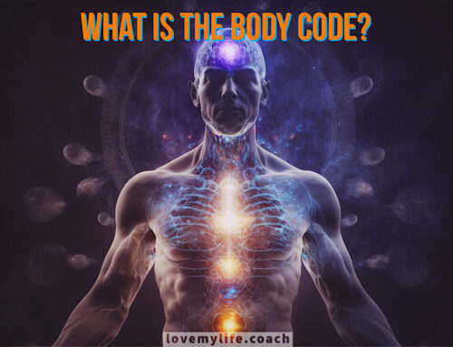 What is the Body Code?