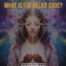 What is the Belief Code